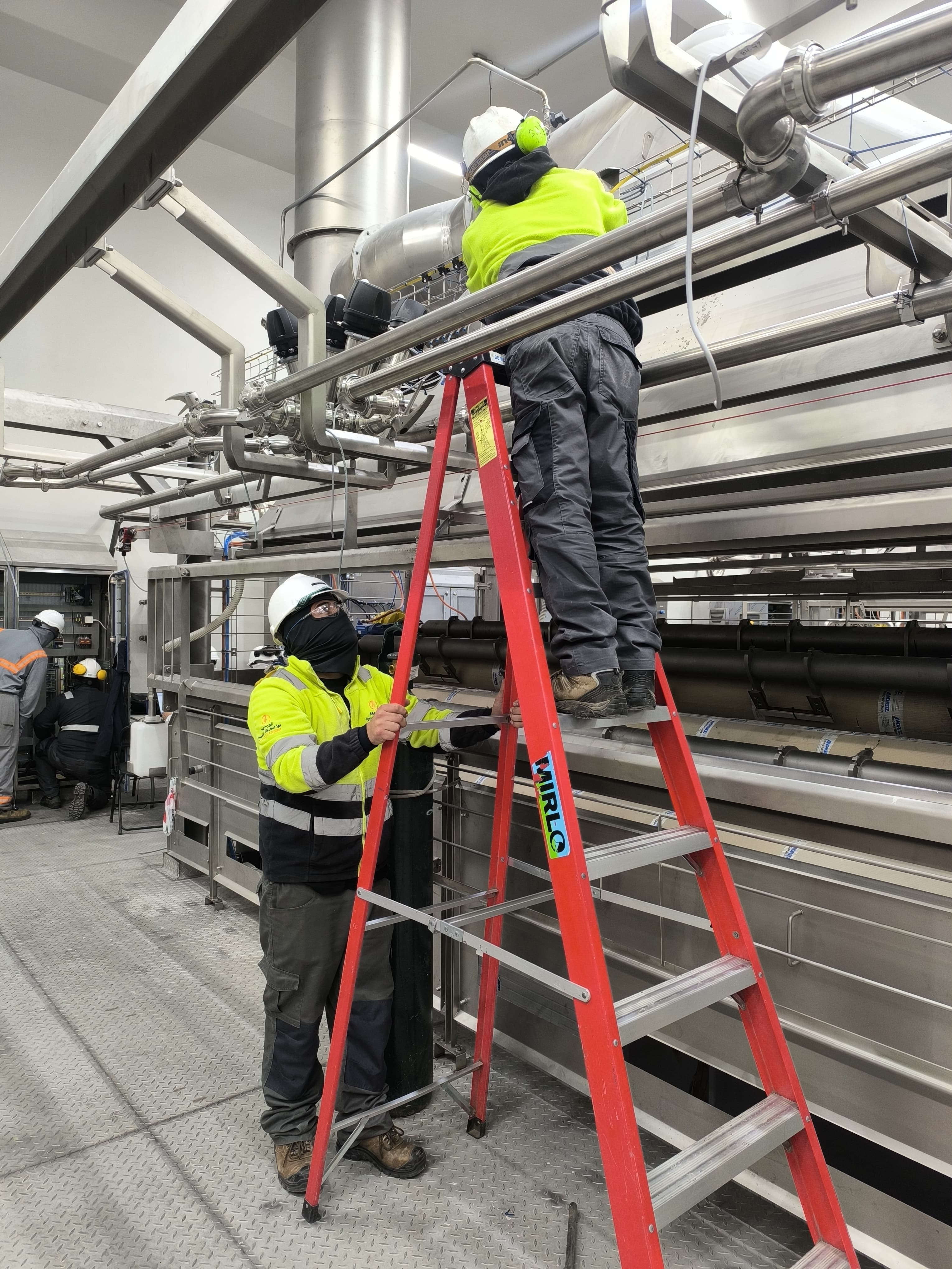 Mercali Ingeniería - Proyecto 2